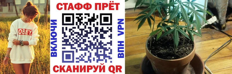 Где купить наркотики Петушки Альфа ПВП  Мефедрон  Бошки Шишки 