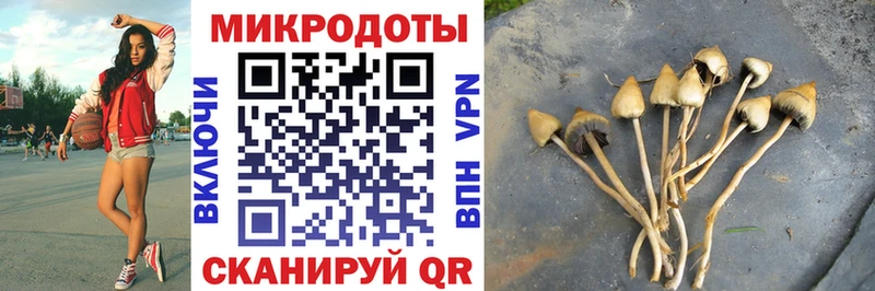 Галлюциногенные грибы MAGIC MUSHROOMS  Петушки 